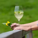 Sattleggers Alpenhof & Feriensternwarte Hotel