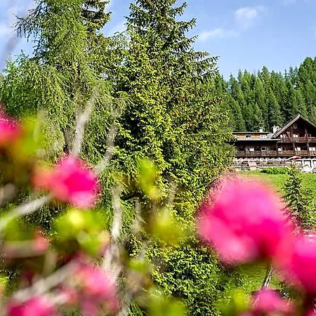 Sattleggers Alpenhof & Feriensternwarte 호텔 그레이펜버그
