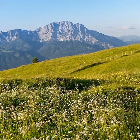 Sattleggers Alpenhof & Feriensternwarte 3* グライフェンブルク
