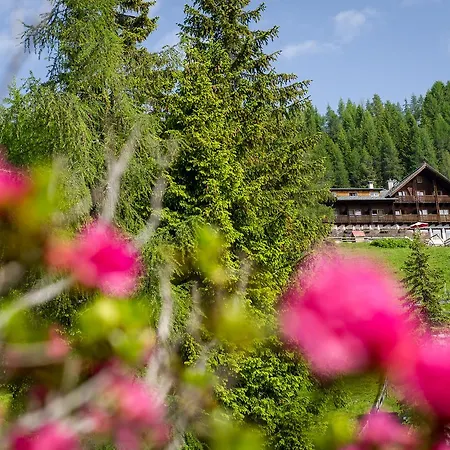 Sattleggers Alpenhof & Feriensternwarte Greifenburg