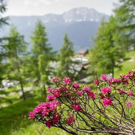 Sattleggers Alpenhof & Feriensternwarte 3* グライフェンブルク