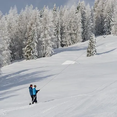 ホテル Sattleggers Alpenhof & Feriensternwarte グライフェンブルク