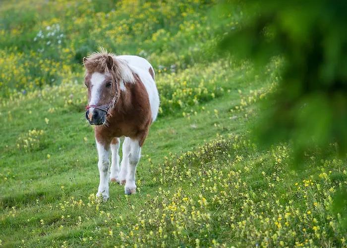 Sattleggers Alpenhof & Feriensternwarte Hotel 3*