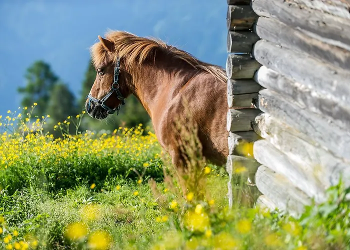 Sattleggers Alpenhof & Feriensternwarte Hotel 3*