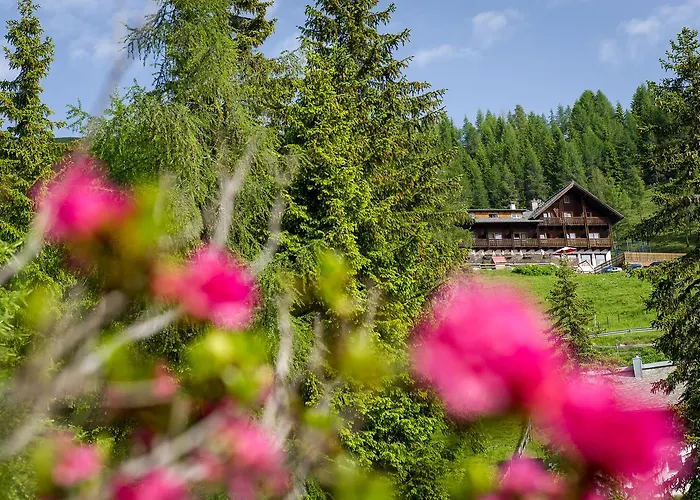 Sattleggers Alpenhof & Feriensternwarte Greifenburg