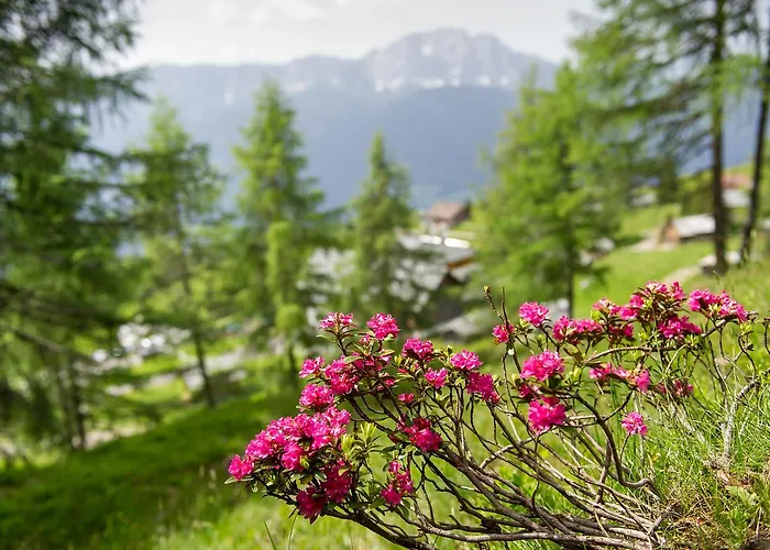 Sattleggers Alpenhof & Feriensternwarte 3* Greifenburg