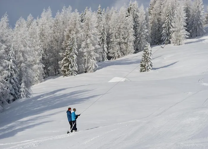 Hotel Sattleggers Alpenhof & Feriensternwarte Greifenburg
